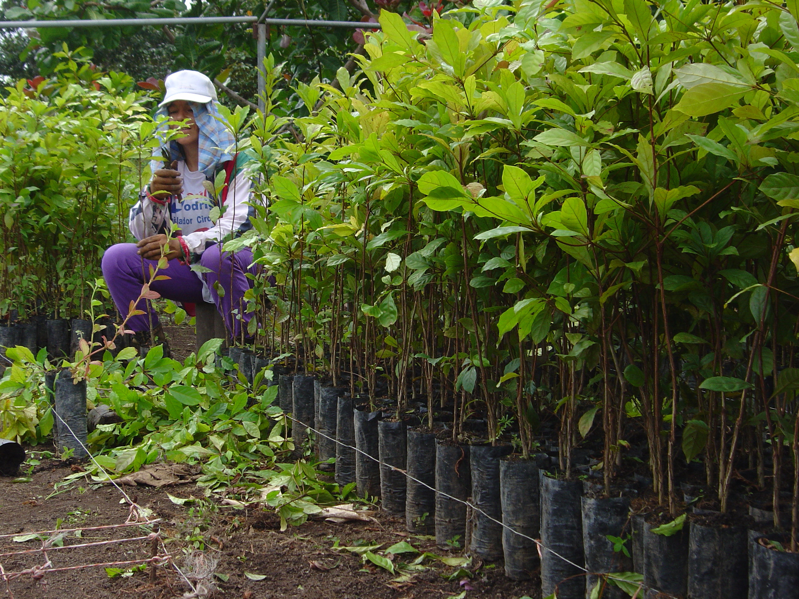 Bidra til en grønnere fremtid med ditt mobilabonnement