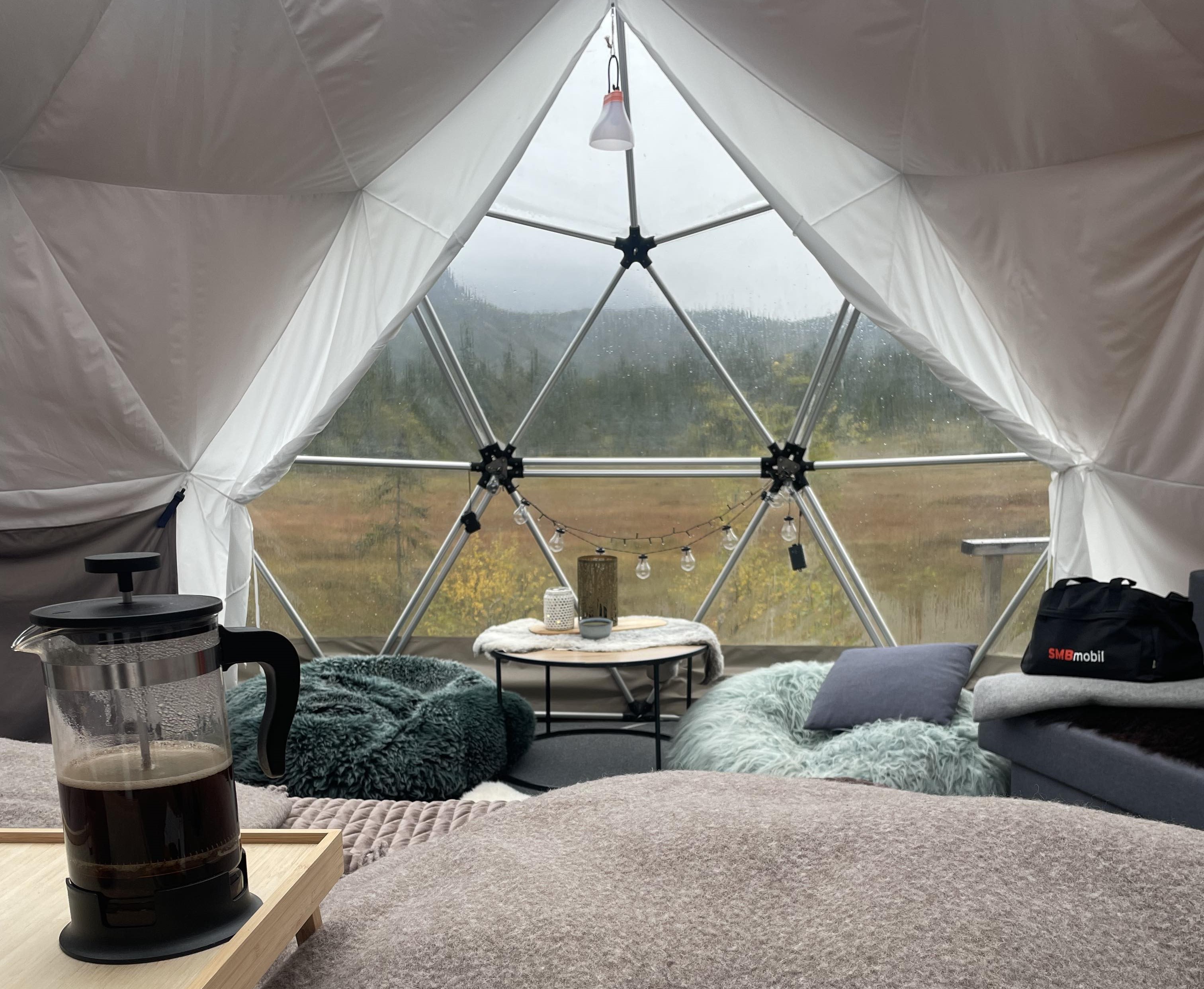 Når kvalitet møter dedikasjon: SMB Mobils valg av Telenor for optimal dekning